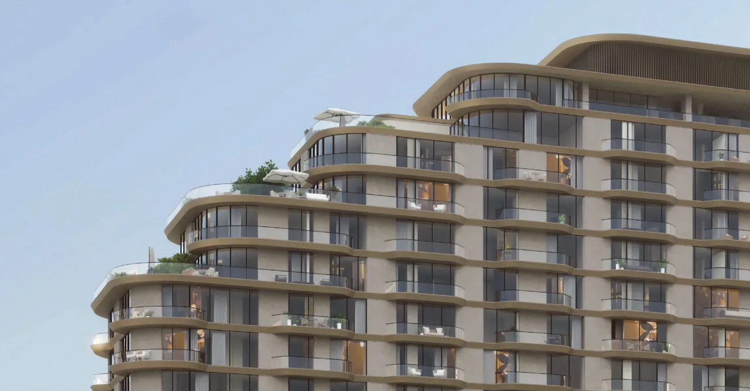 Mirasol 2